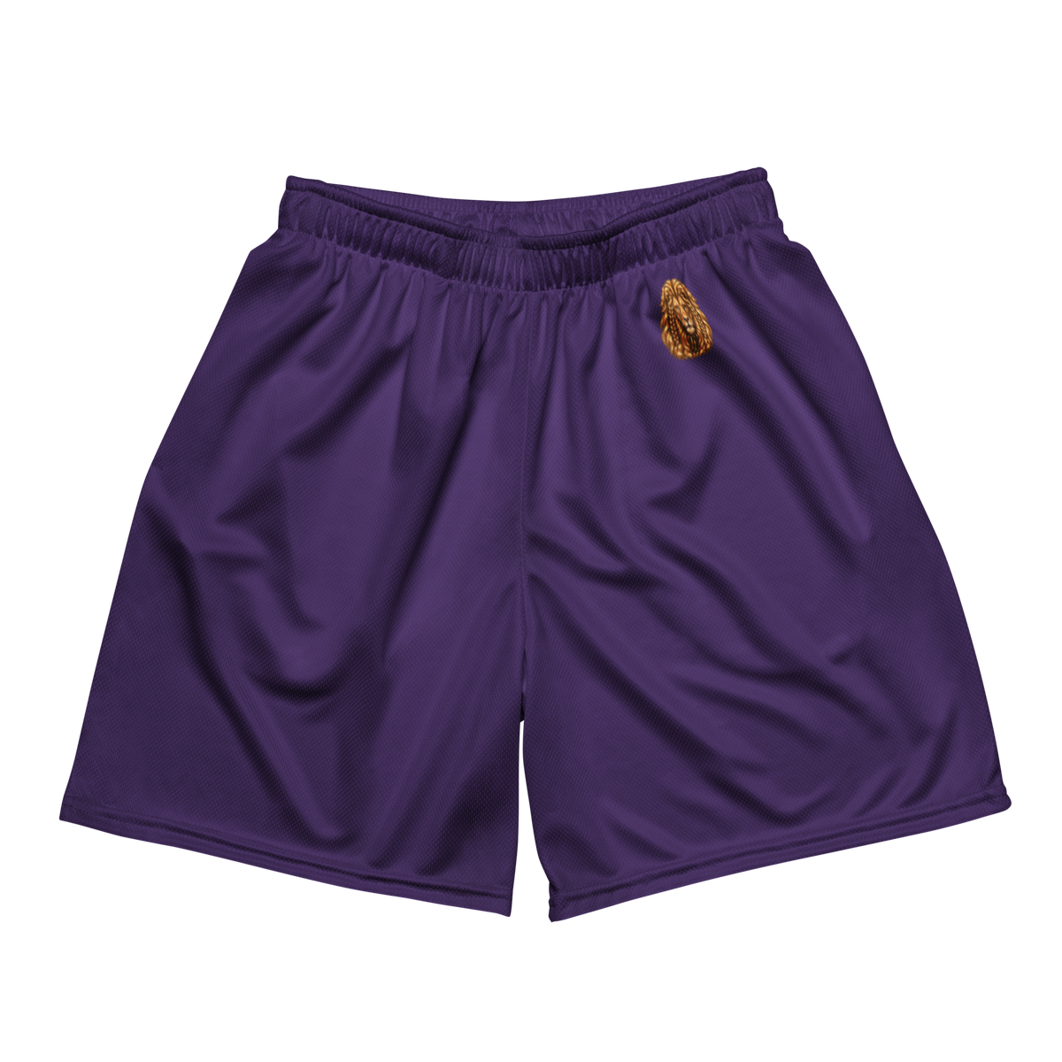 Encore Men’s Athletic Shorts — Purple